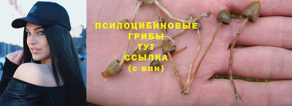 каннабис Алексеевка
