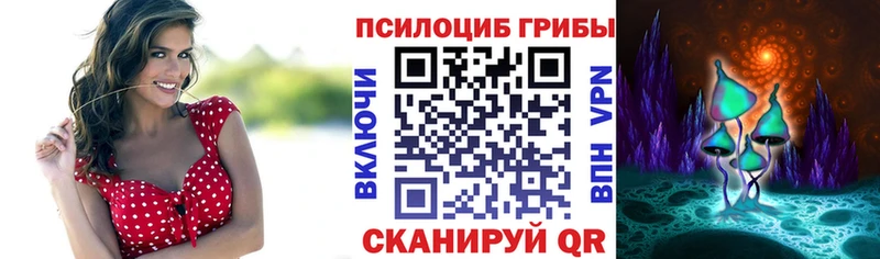 Купить закладки  Котельниково  Галлюциногенные грибы прущие грибы 